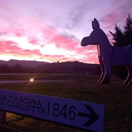 La Cascina Di Carlotta 1846 Agriturismo Alba  Eksteriør billede